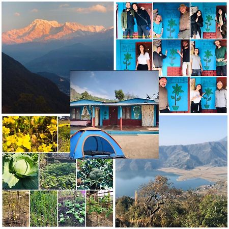 Hom'S Homestay & Farmstay Sarangkot Pokhara Eksteriør billede