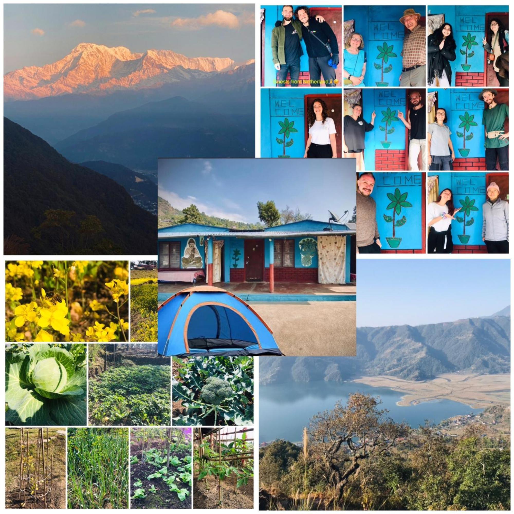 Hom'S Homestay & Farmstay Sarangkot Pokhara Eksteriør billede