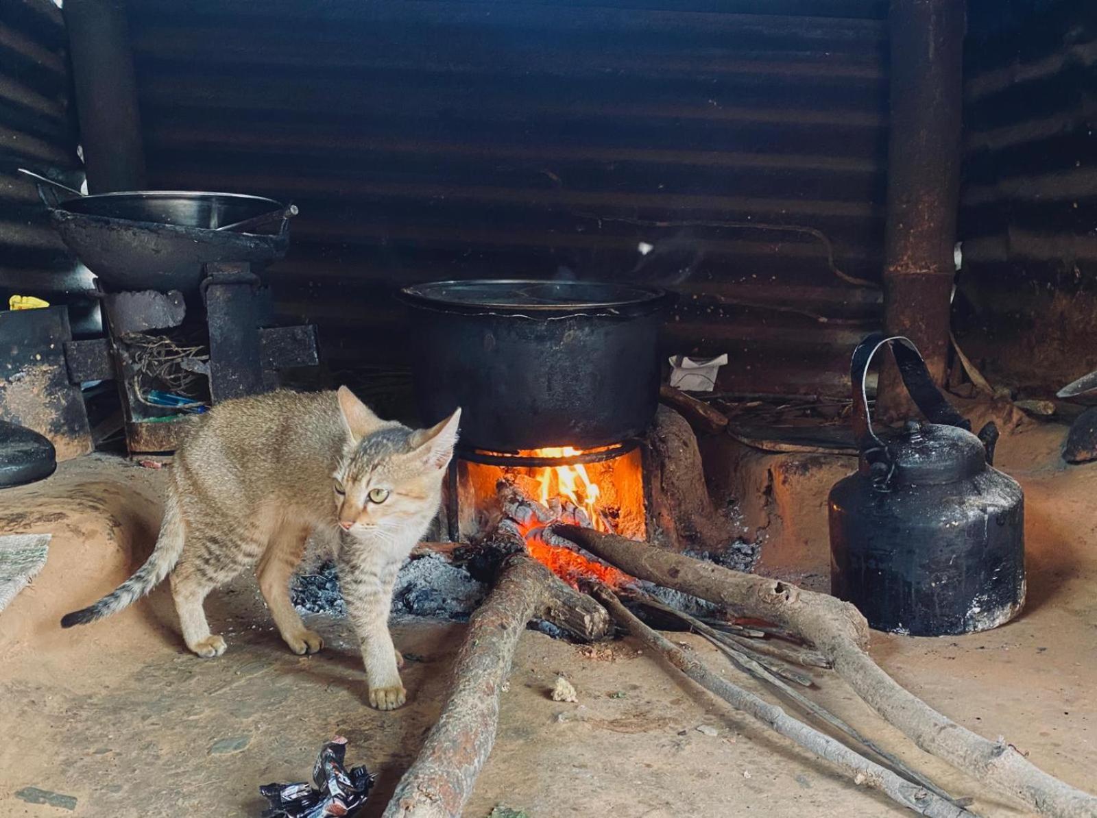 Hom'S Homestay & Farmstay Sarangkot Pokhara Eksteriør billede